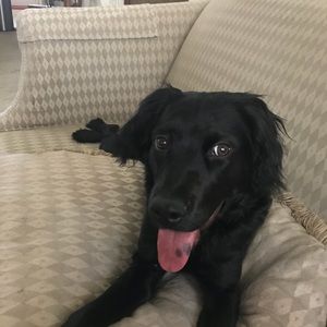 Meet your Posher, Courtney